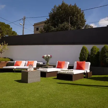 Sunset Diseno Vista Impresionante Alta Capacidad Disfrutar En Familia Y Amigos